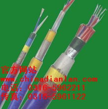 阻燃铁路信号电缆 PTYA22电缆 阻燃电缆价格